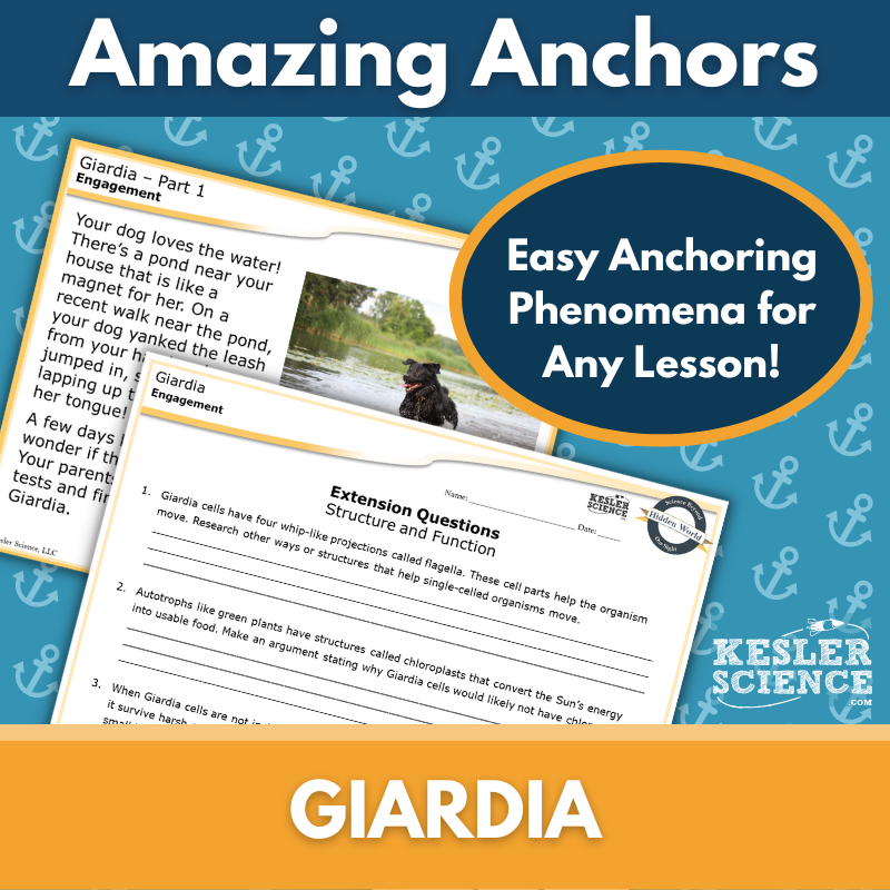 Amazing Anchors Cell Parts & Functions (Giardia Single-Celled Organisms) - NGSS MS LS1-2