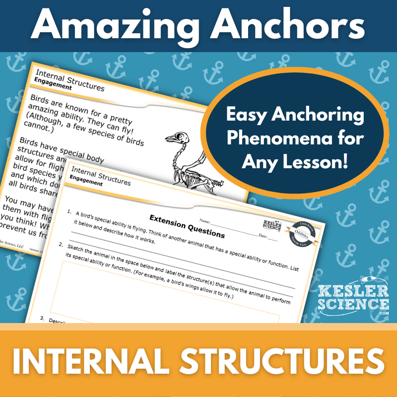 Amazing Anchors Internal Adaptations (Internal Structures) - MS 6-8