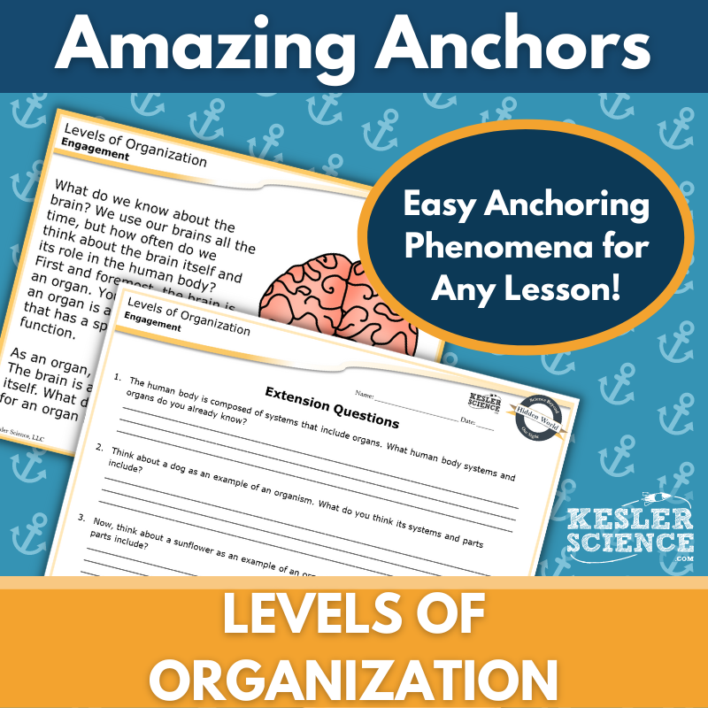 Amazing Anchors Organization of Organisms (Levels of Organization) - MS 6-8