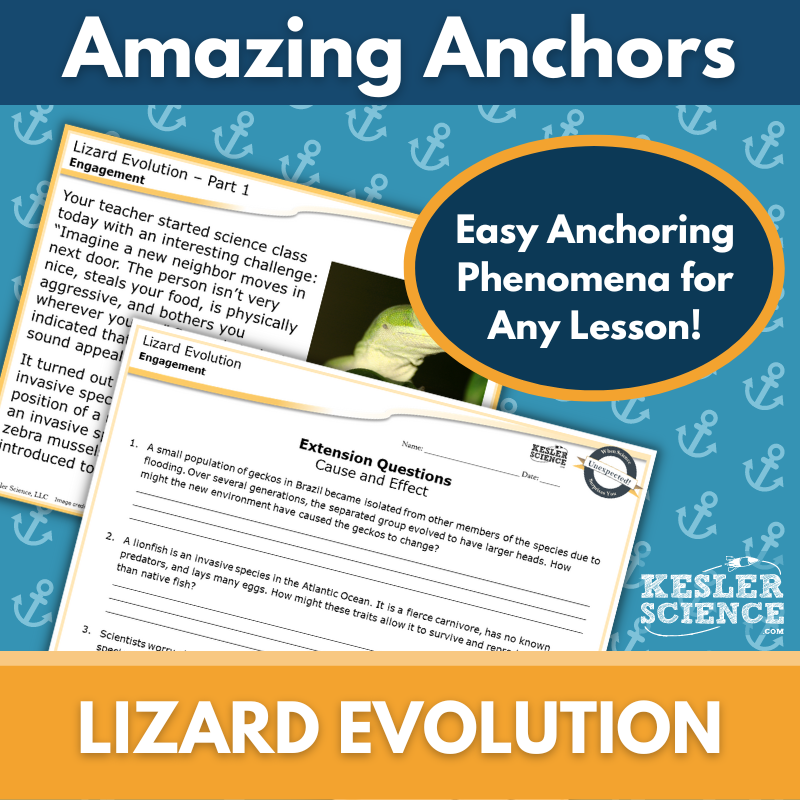 Amazing Anchors Natural Selection (Lizard Evolution) NGSS MS LS46