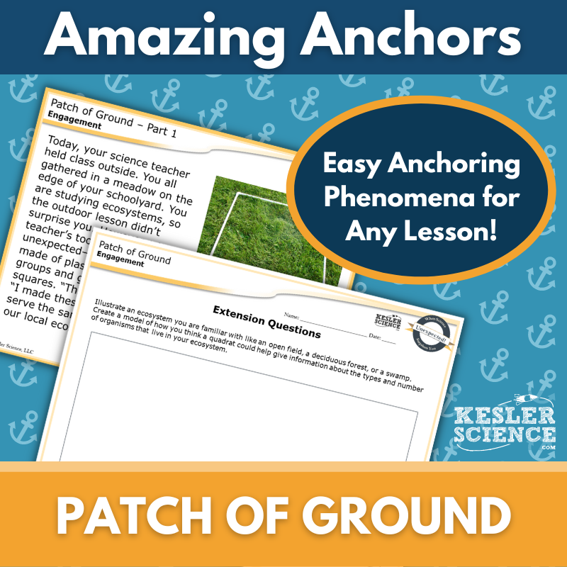 Amazing Anchors Organization of Ecosystems (Patch of Ground) - MS 6-8