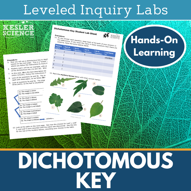 Dichotomous Key Worksheets Inquiry Lab - MS 6-8 Science TEKS