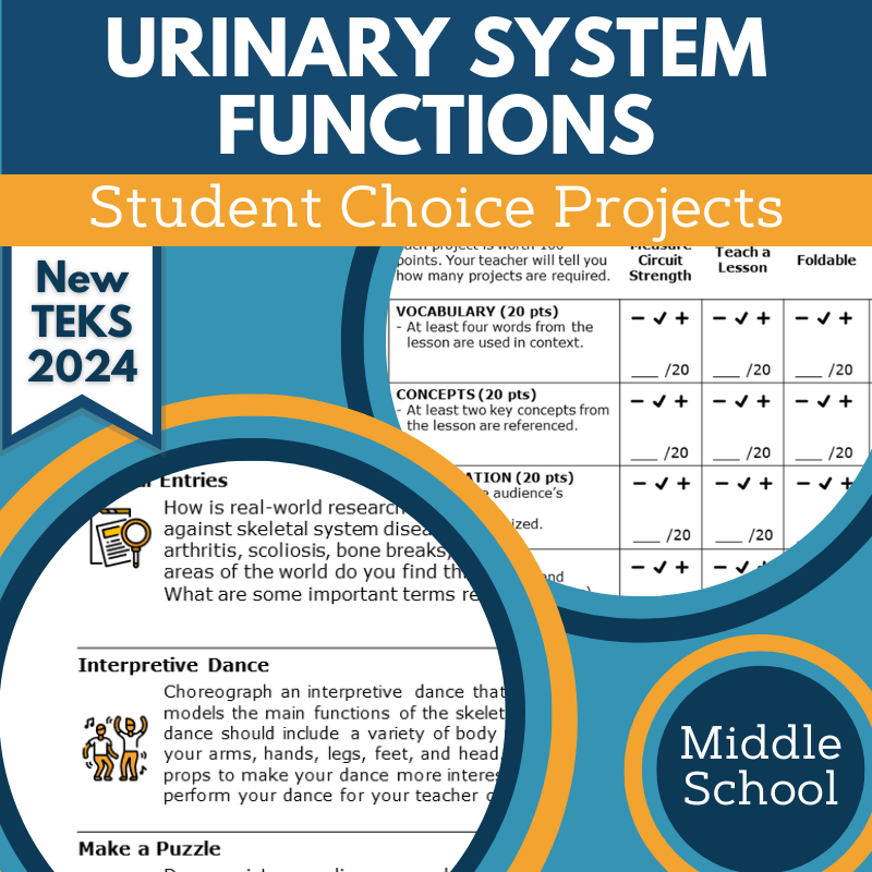 Urinary System Functions - Student Choice Projects, MS, New TEKS 7.13A