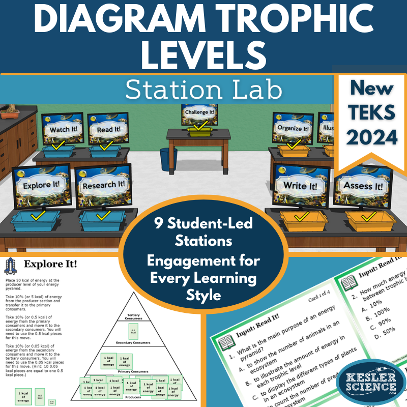 Diagram Trophic Levels Station Lab - New TEKS 7.12A