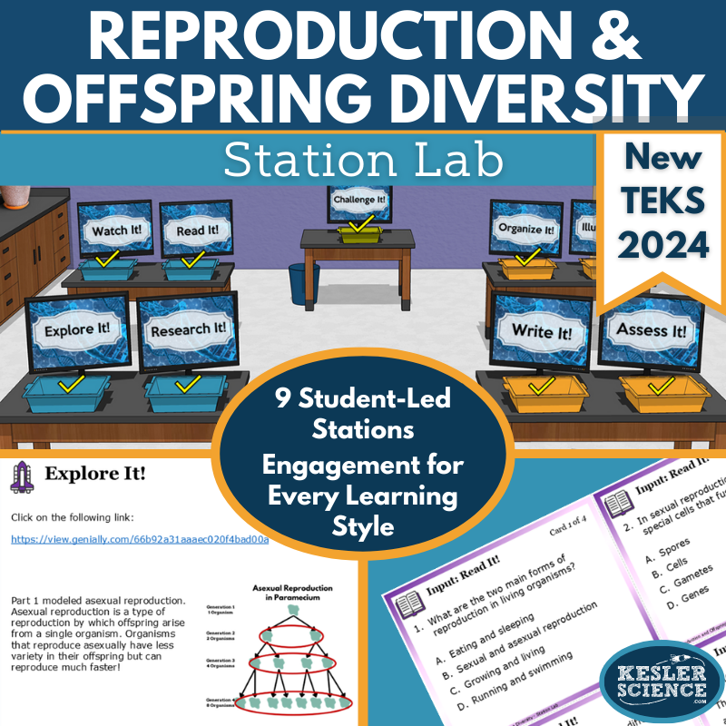 Reproduction & Offspring Diversity Station Lab - New TEKS 7.13C
