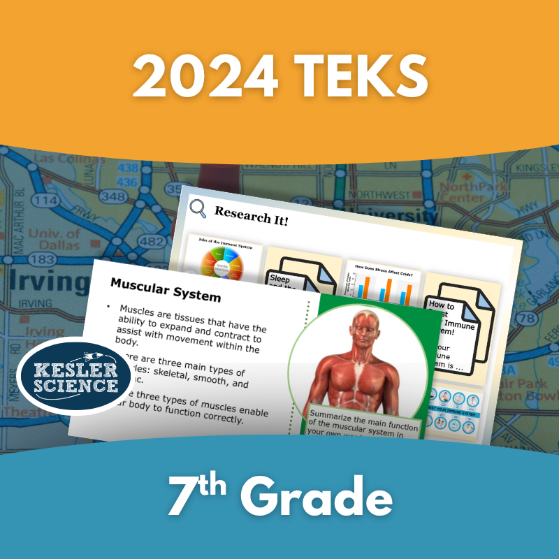 2024 TEKS - Grade 7