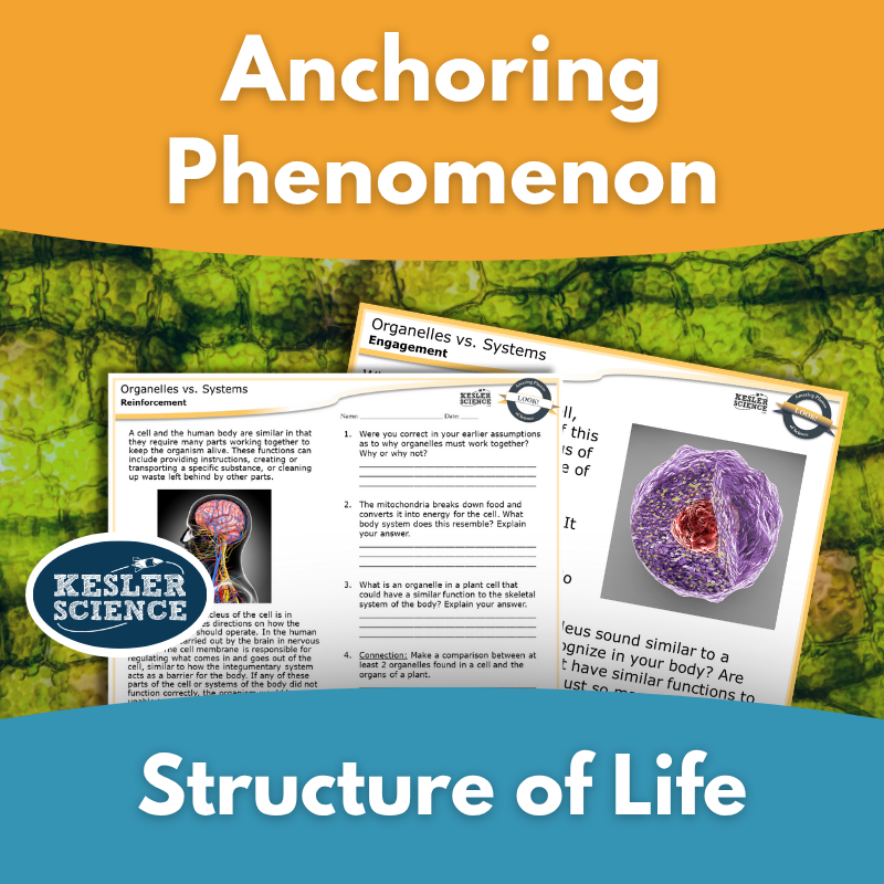 Anchoring Phenomenon - Life Science - Structure of Life