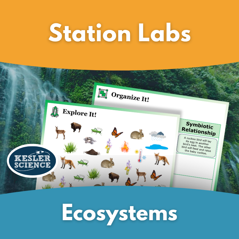 Station Labs - Life Science - Ecosystems