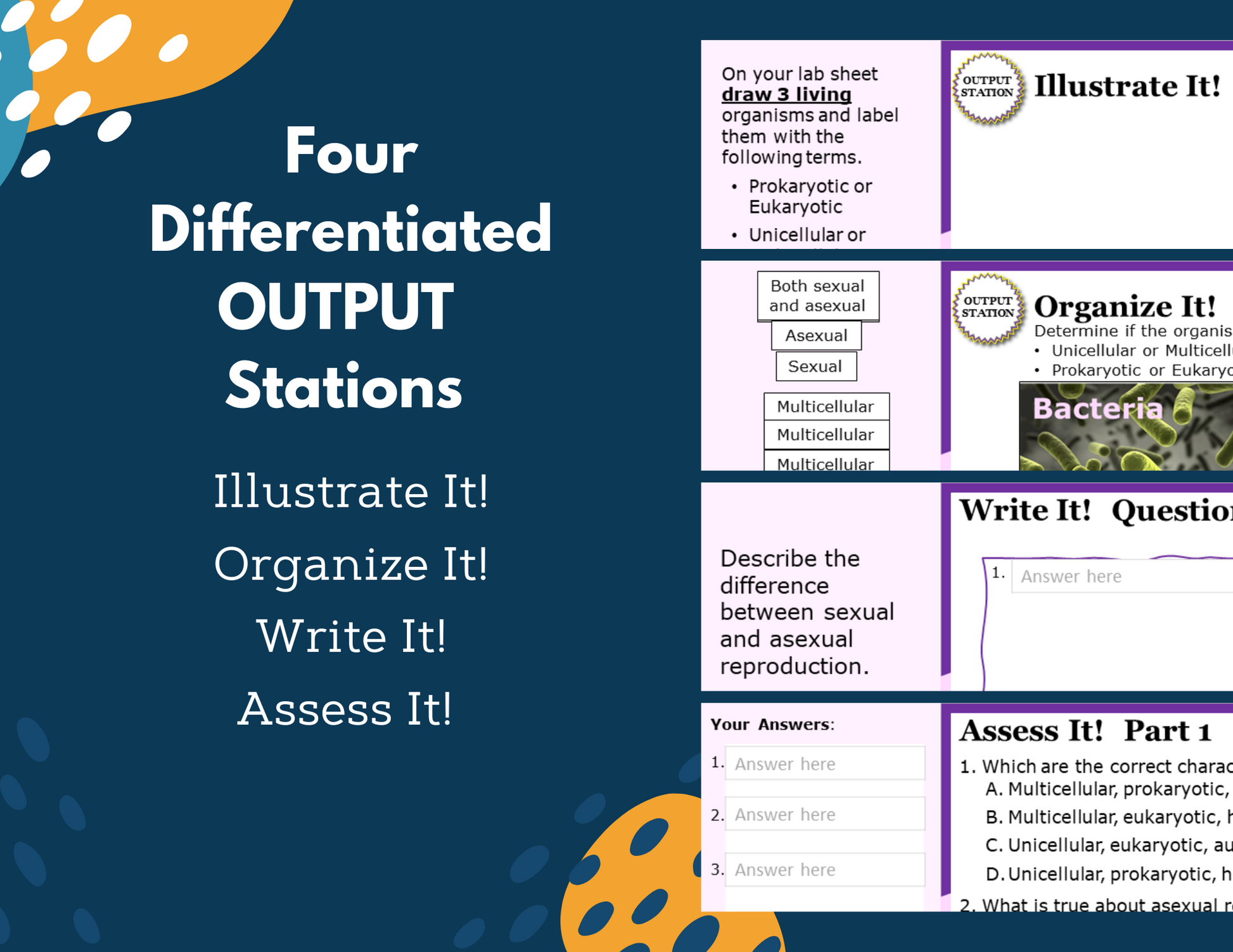 Characteristics of Organisms Station Lab - MS