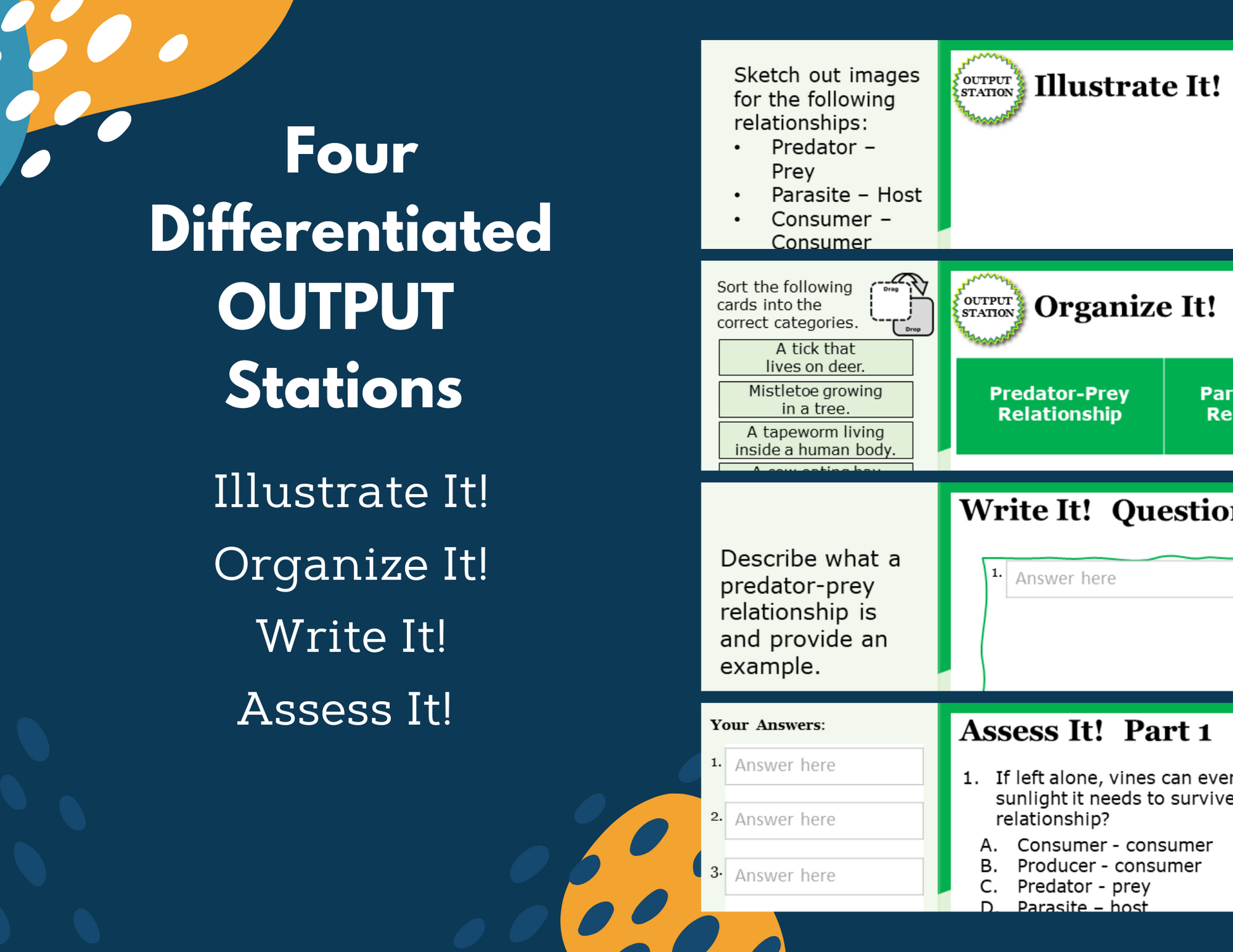 Organism Relationships Station Lab - MS