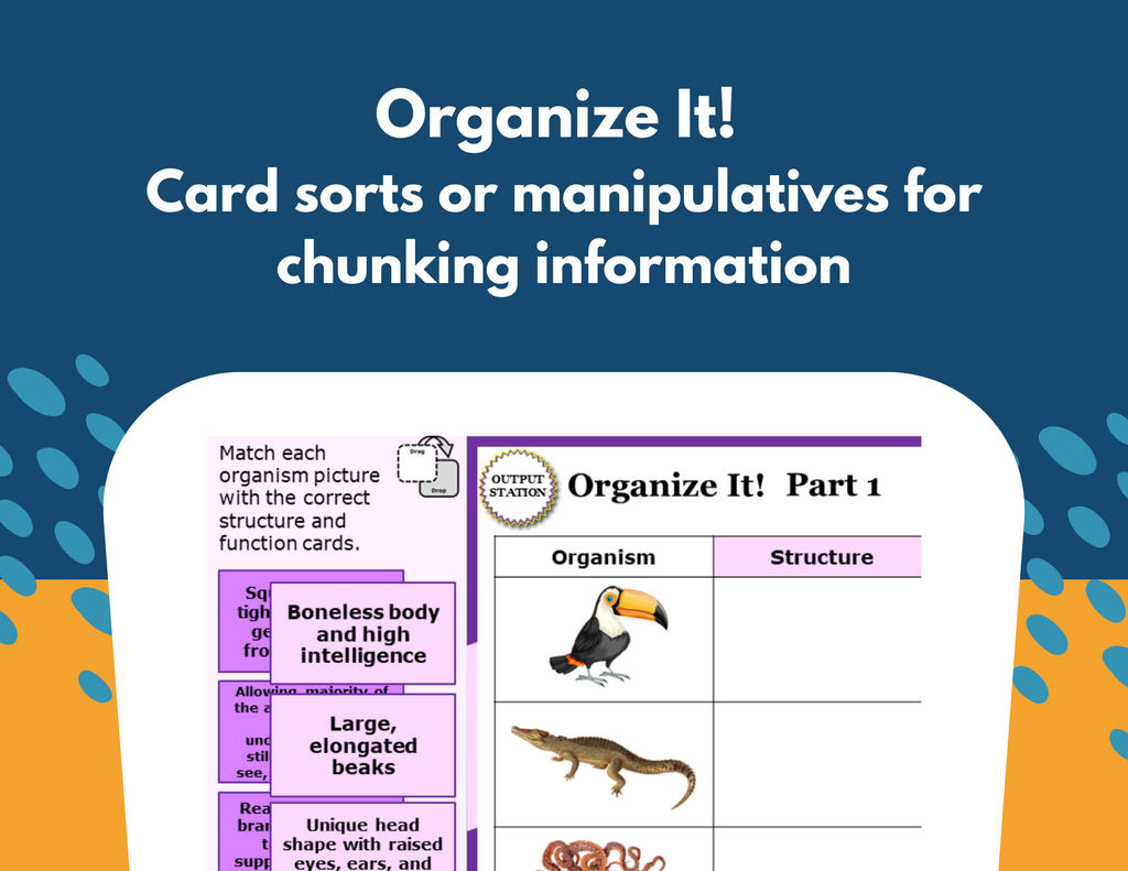 Structures & Behaviors - Student-Led Station Lab - 5th Grade