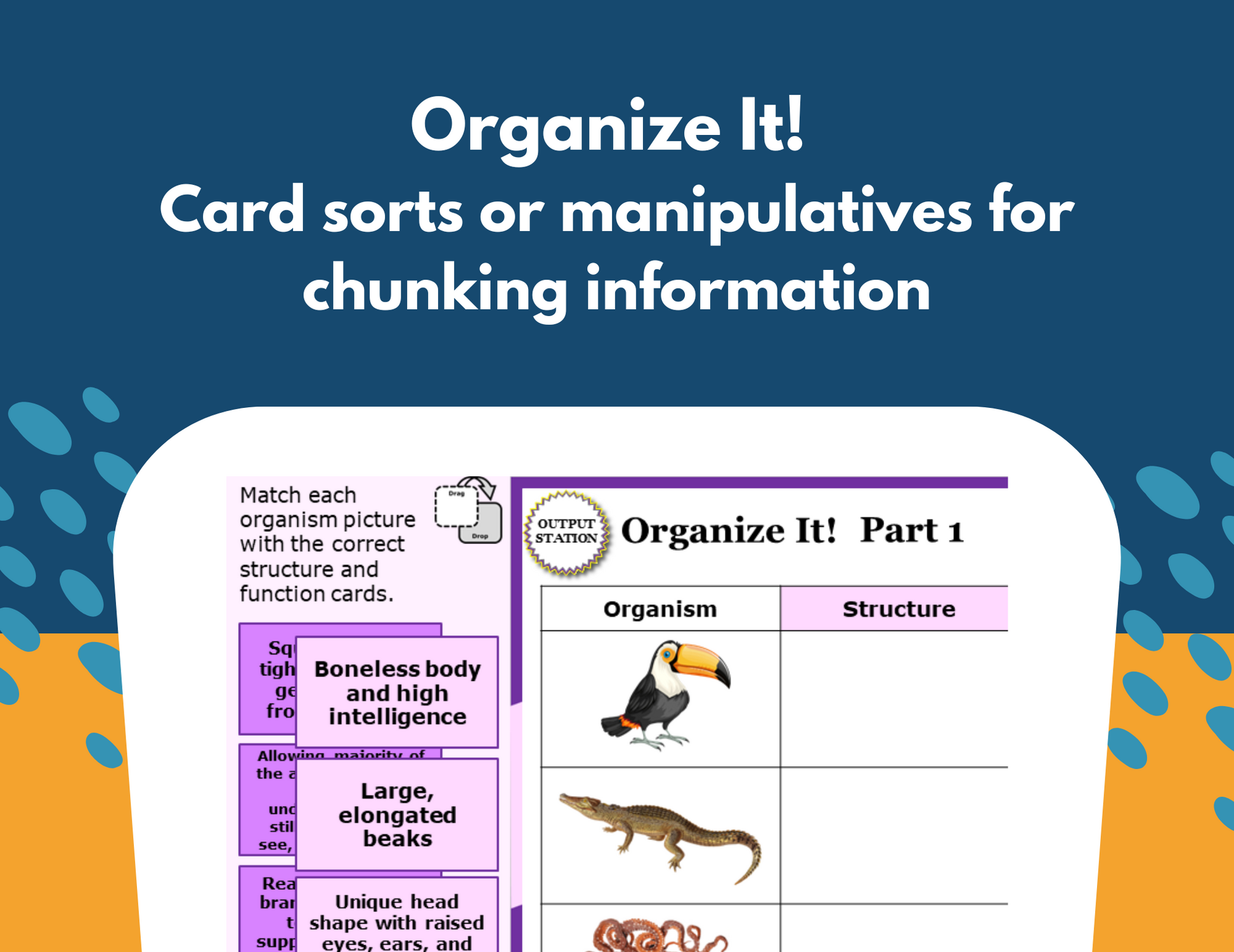 Structures & Behaviors - Student-Led Station Lab - 5th Grade