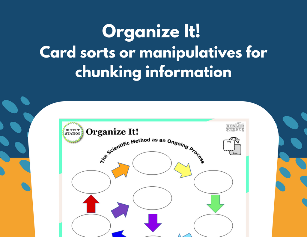 Scientific Method Station Lab - Grades 6-8