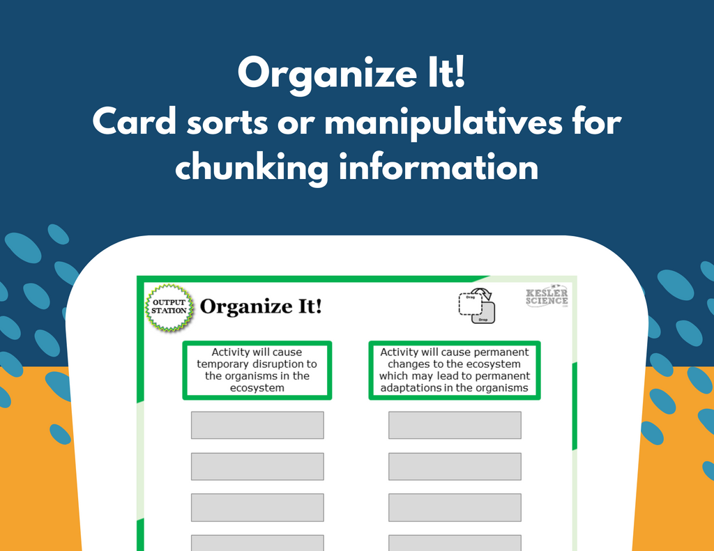 Short & Long-Term Environmental Impacts Student-Led Station Lab - MS