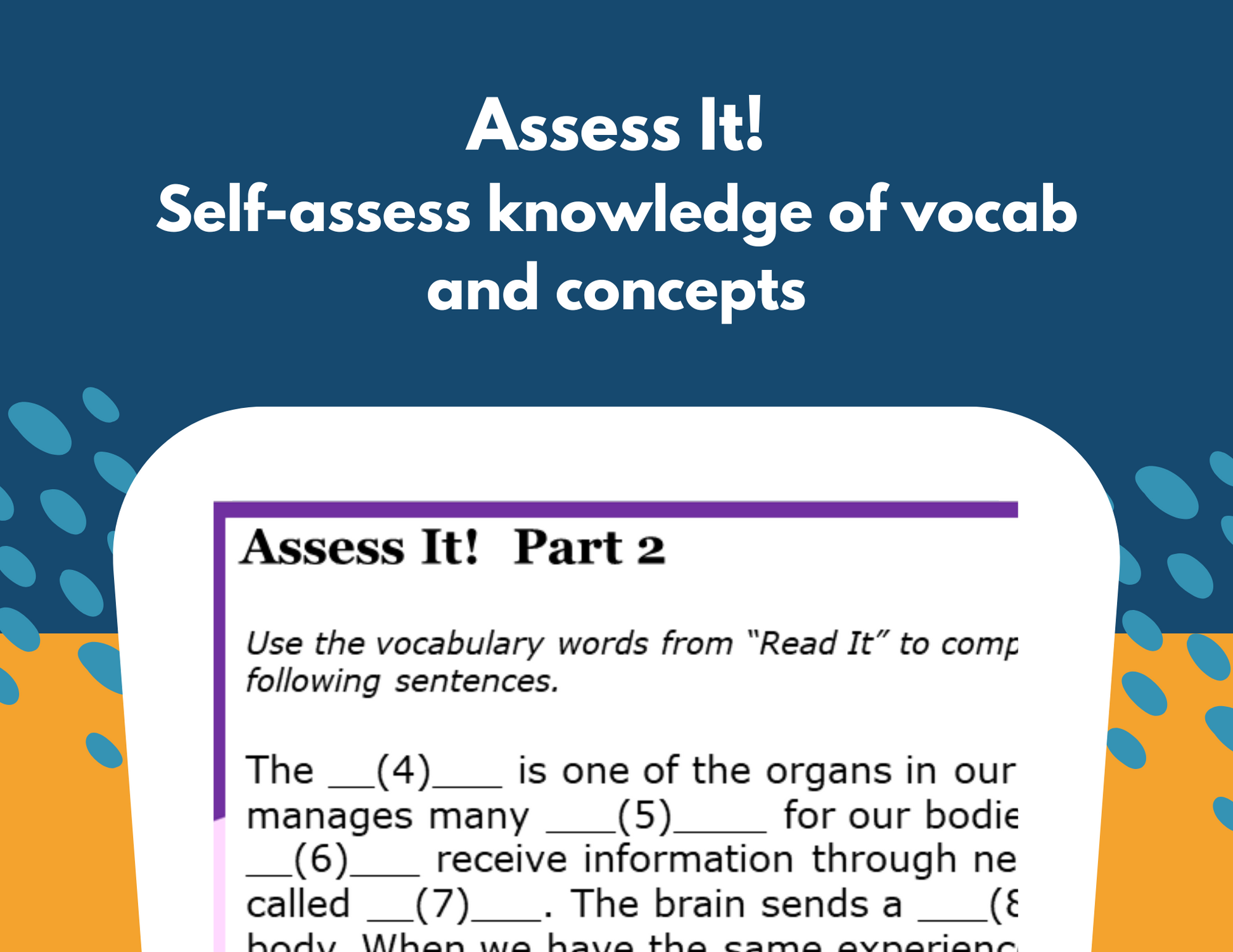 Senses: Receiving & Responding to Information - Student-Led Station Lab - 4th Gr