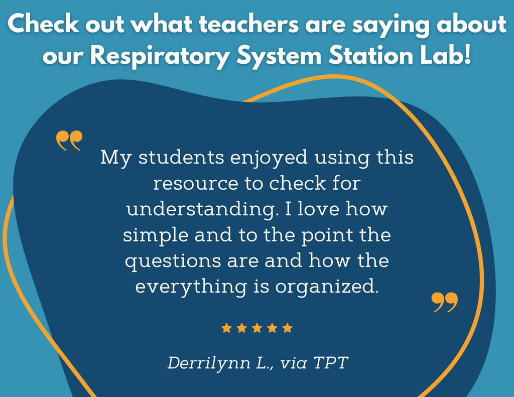 Respiratory System Station Lab - MS