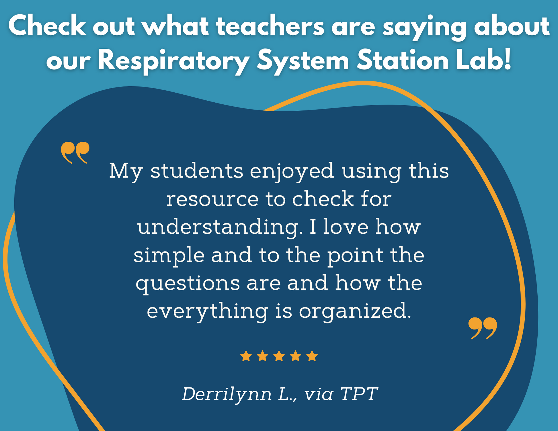 Respiratory System Station Lab - MS