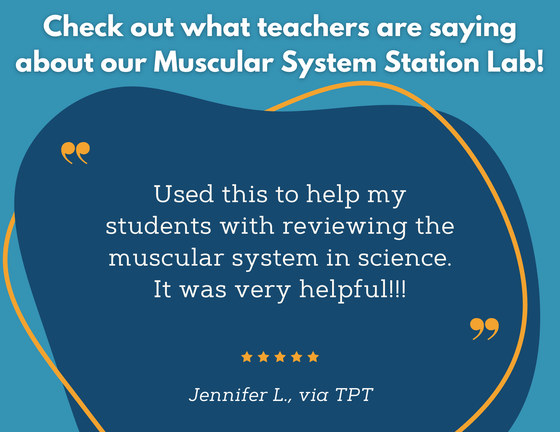 Muscular System Station Lab - MS