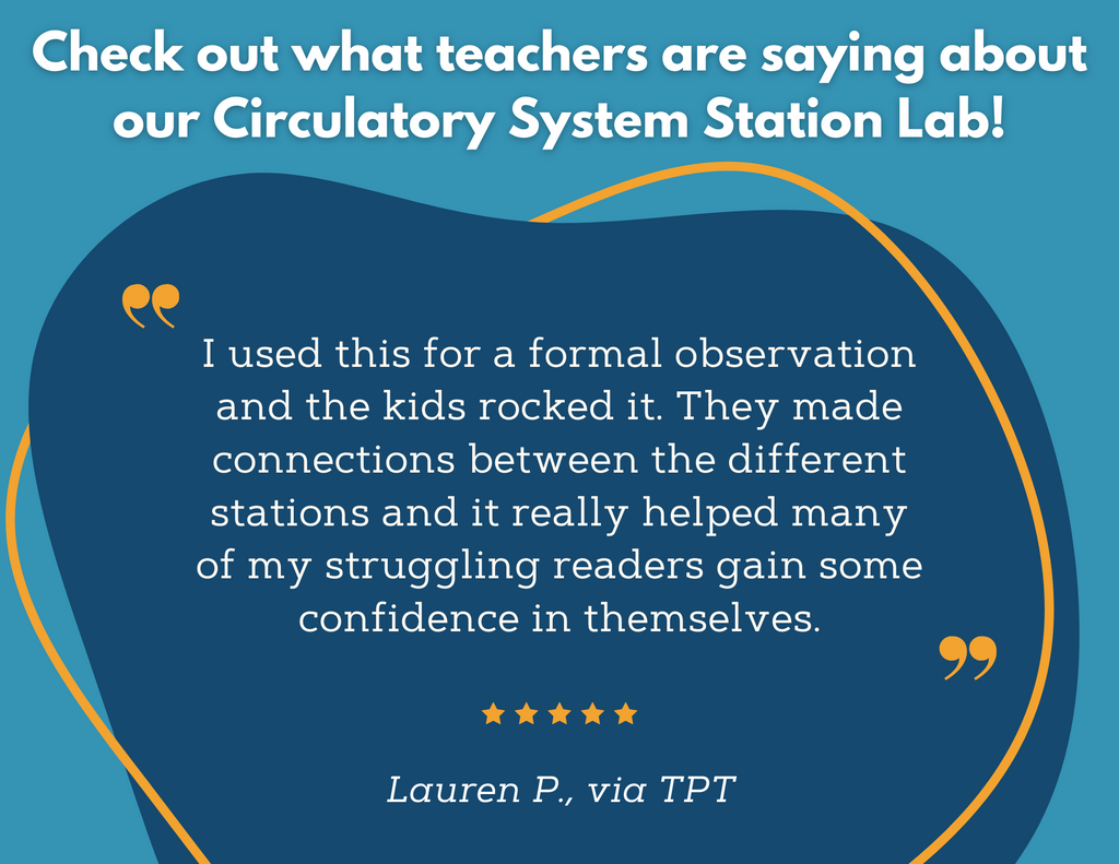 Circulatory System Station Lab - MS