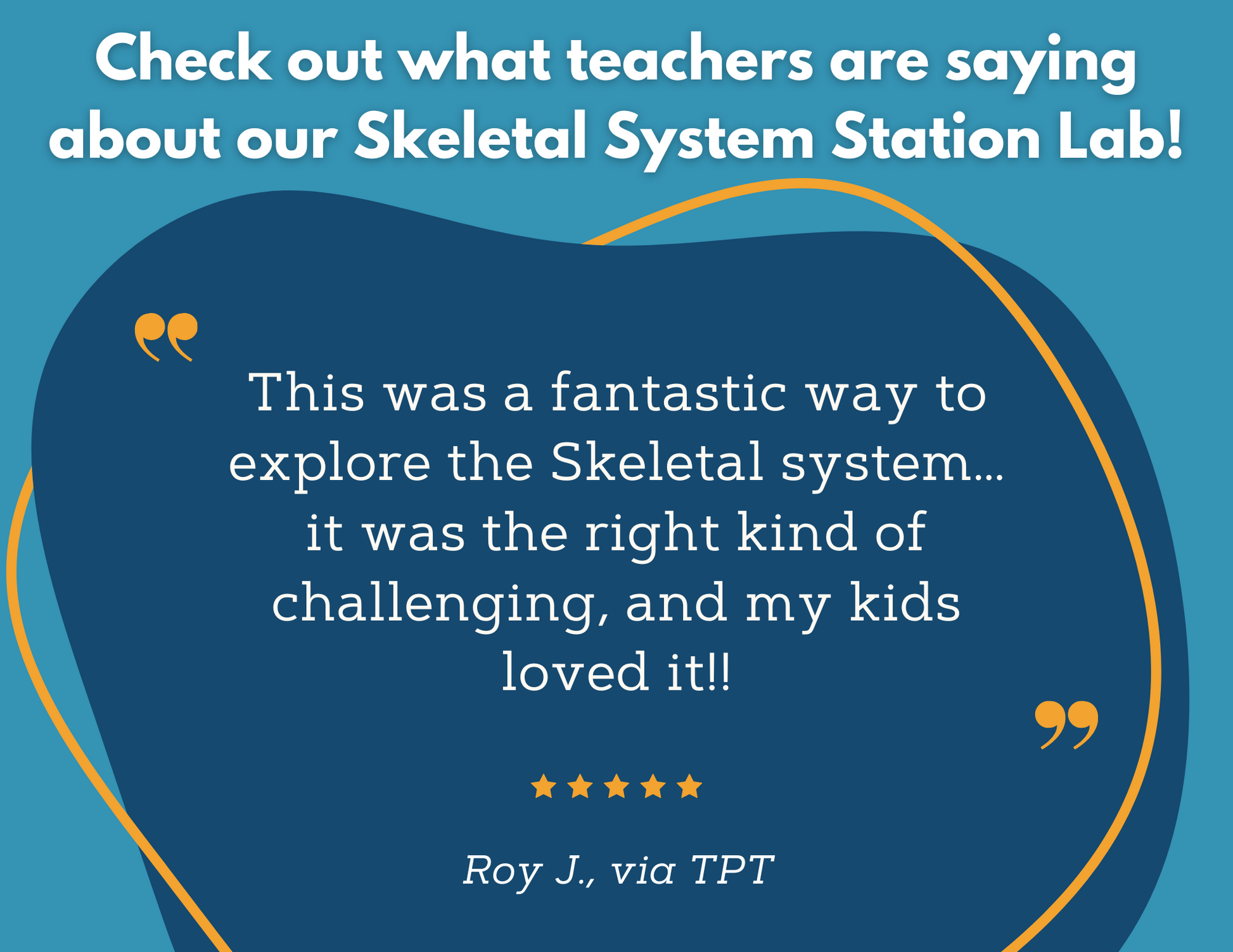 Skeletal System Station Lab - MS
