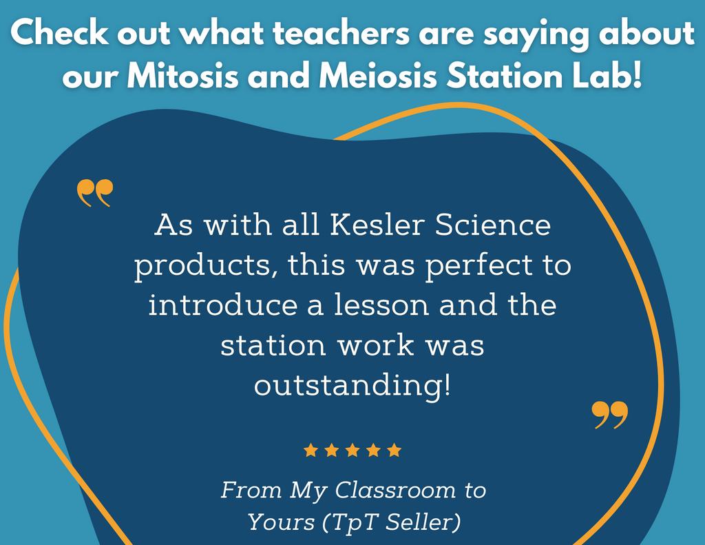 Mitosis & Meiosis Station Lab - MS