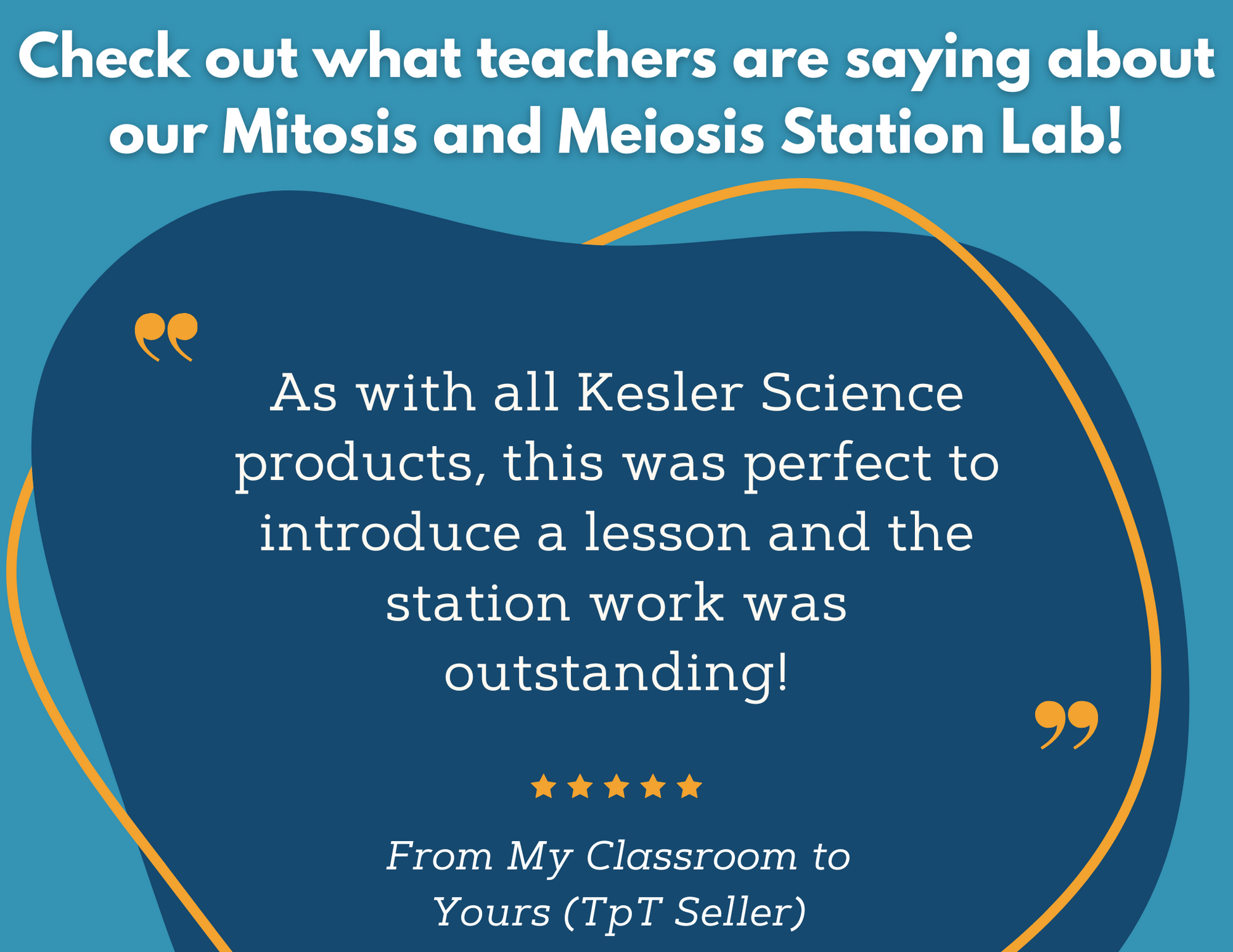 Mitosis & Meiosis Station Lab - MS