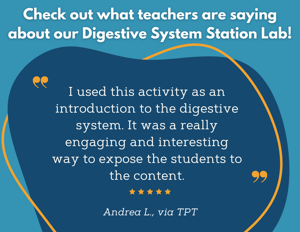 Digestive System Station Lab - MS