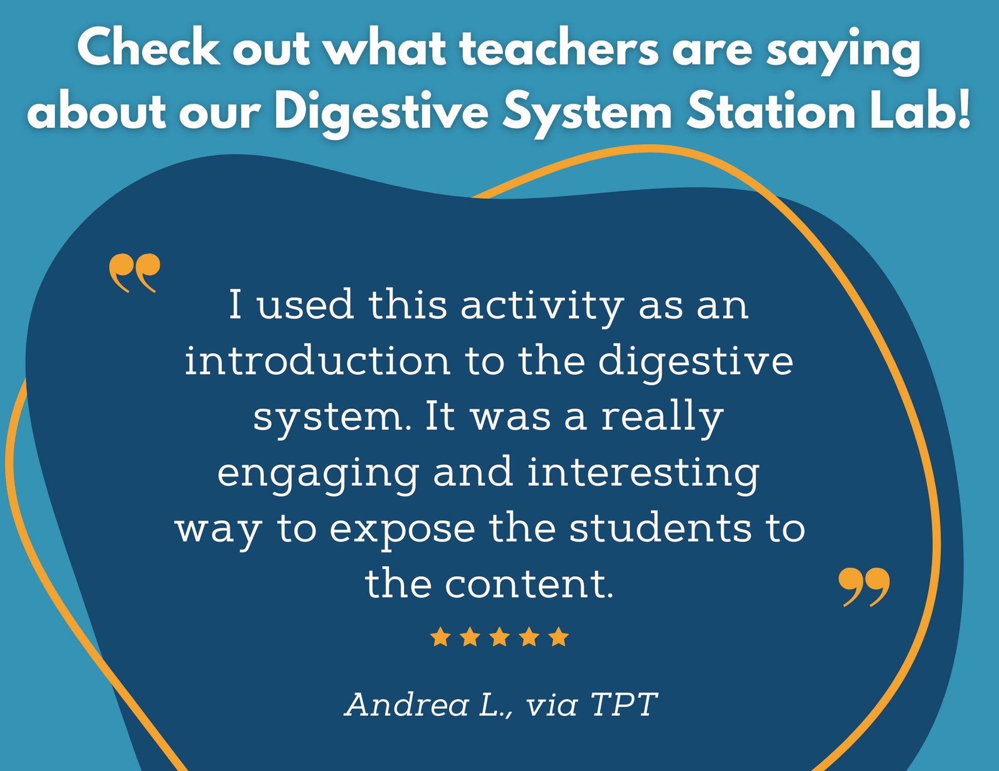 Digestive System Station Lab - MS