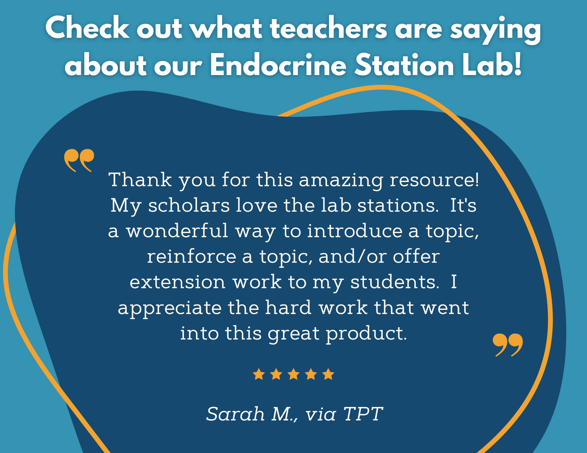 Endocrine System Station Lab - MS