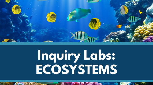 MS 6th 7th 8th Inquiry Labs Bundle: Ecosystems (Members)