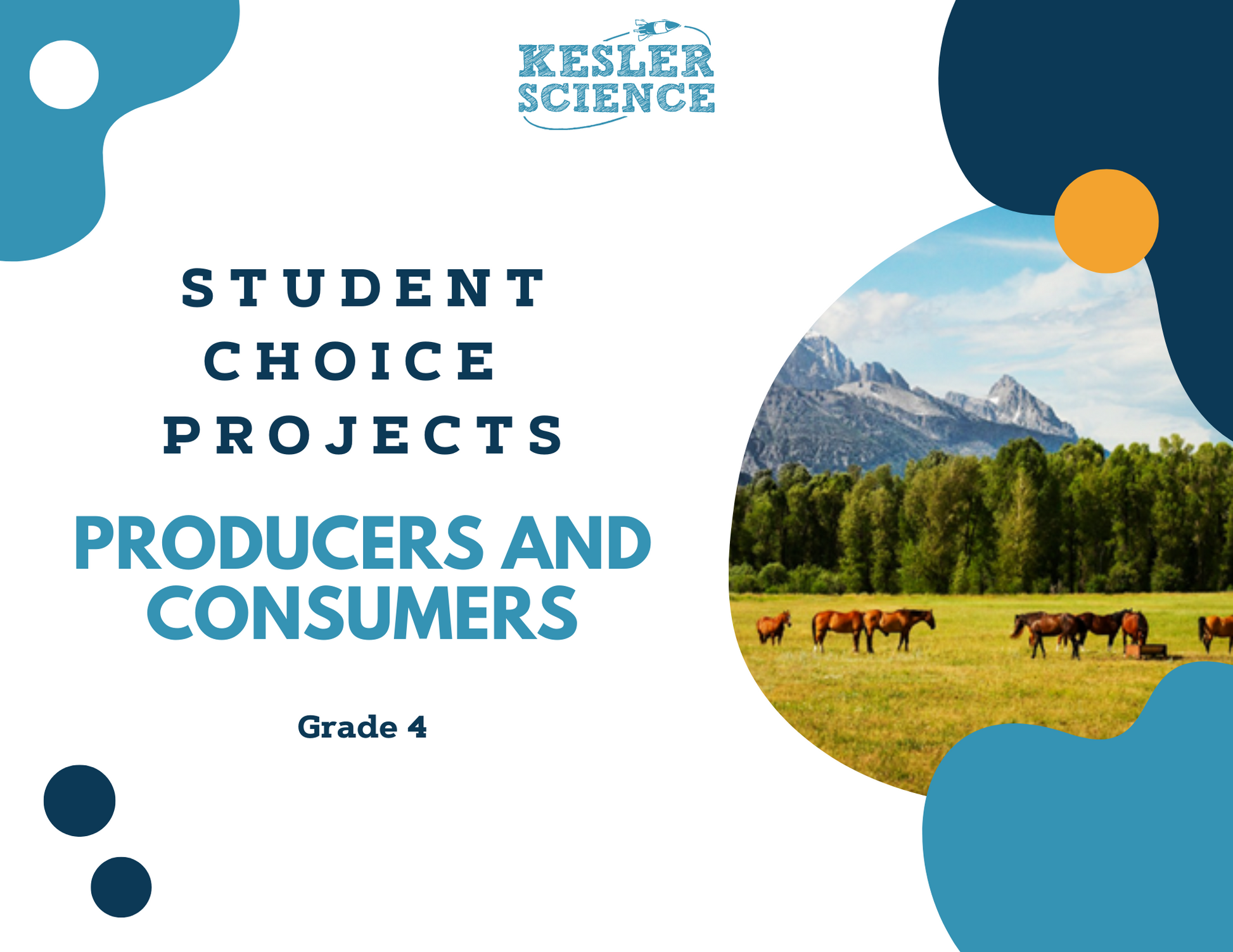 Producers & Consumers - Student Choice Projects - 4th Grade