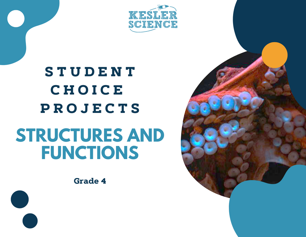 Structures & Functions - Student Choice Projects - 4th Grade