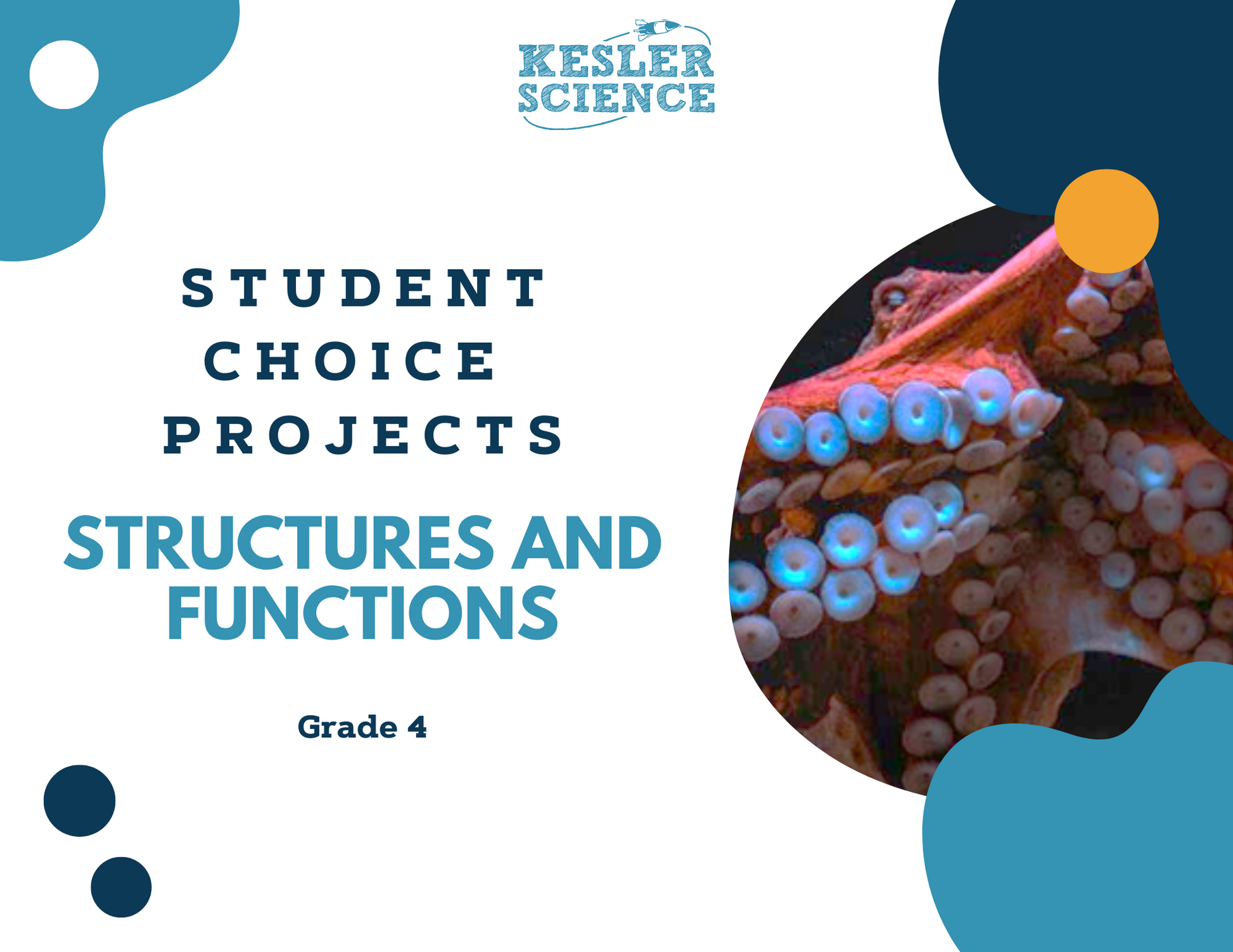 Structures & Functions - Student Choice Projects - 4th Grade