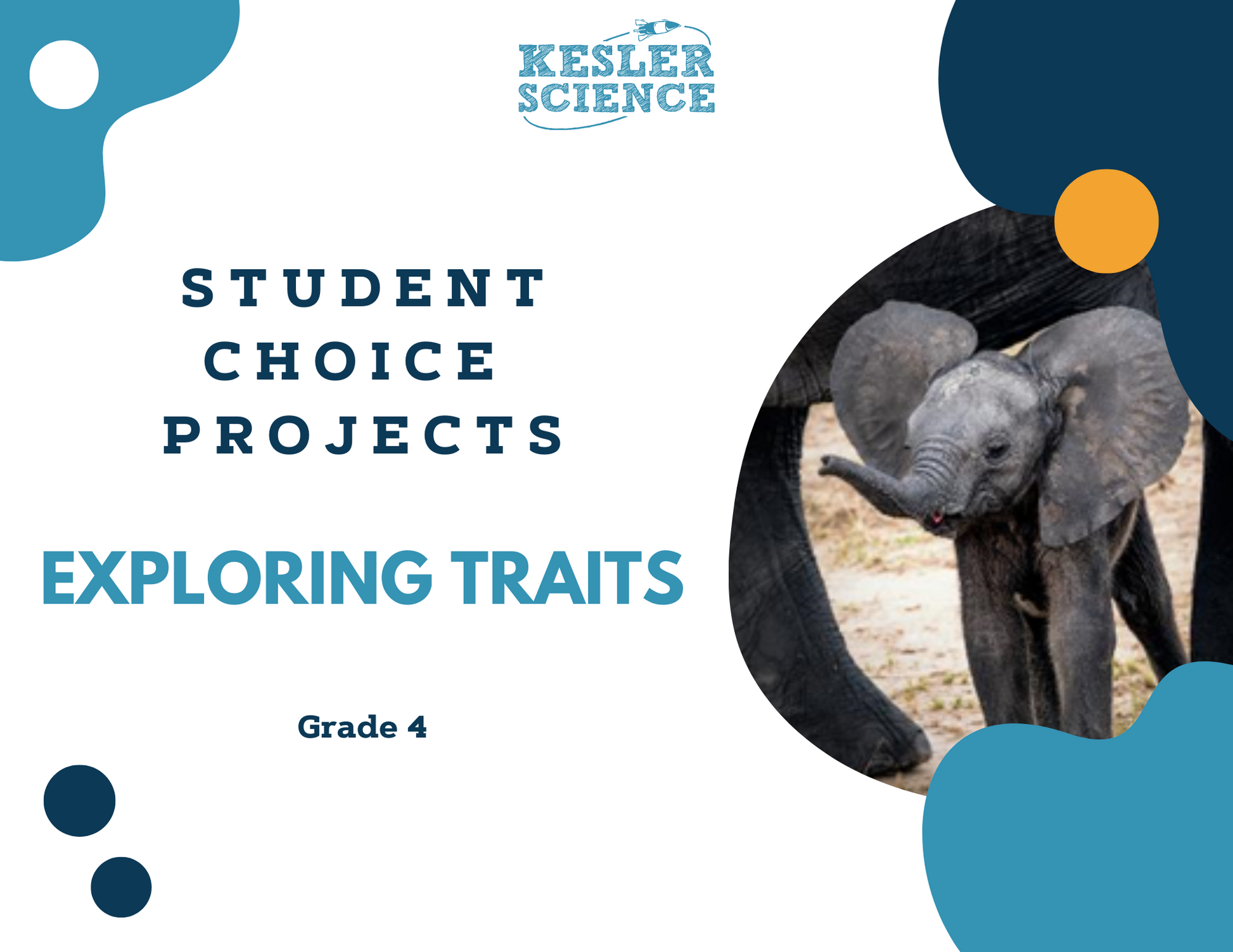 Exploring Traits - Student Choice Projects - 4th Grade