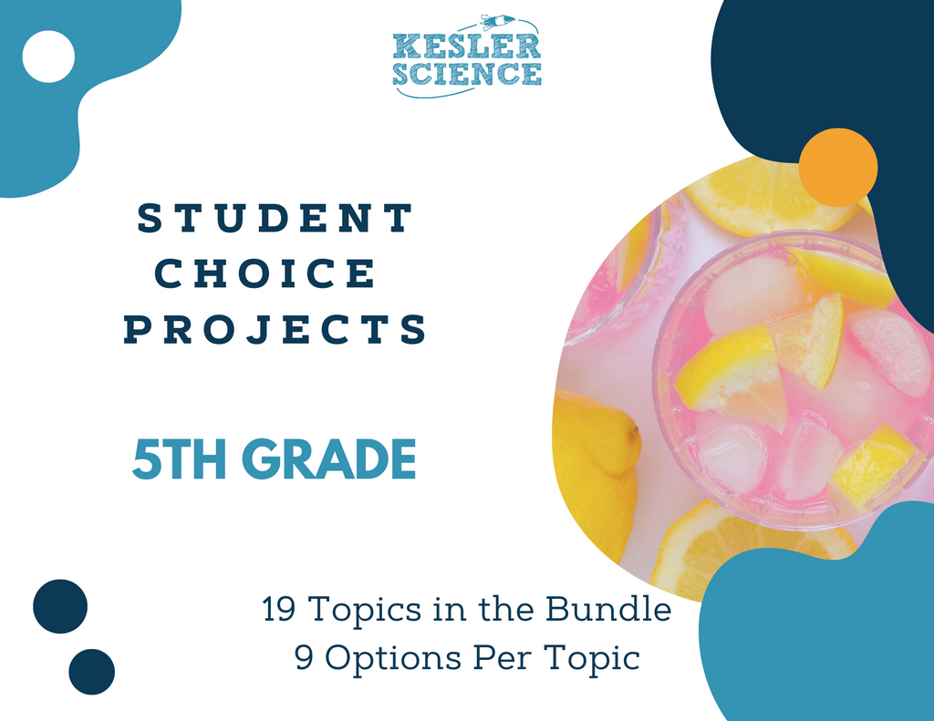 Day & Night Cycle - Student Choice Projects, Grade 5, New TEKS 5.9
