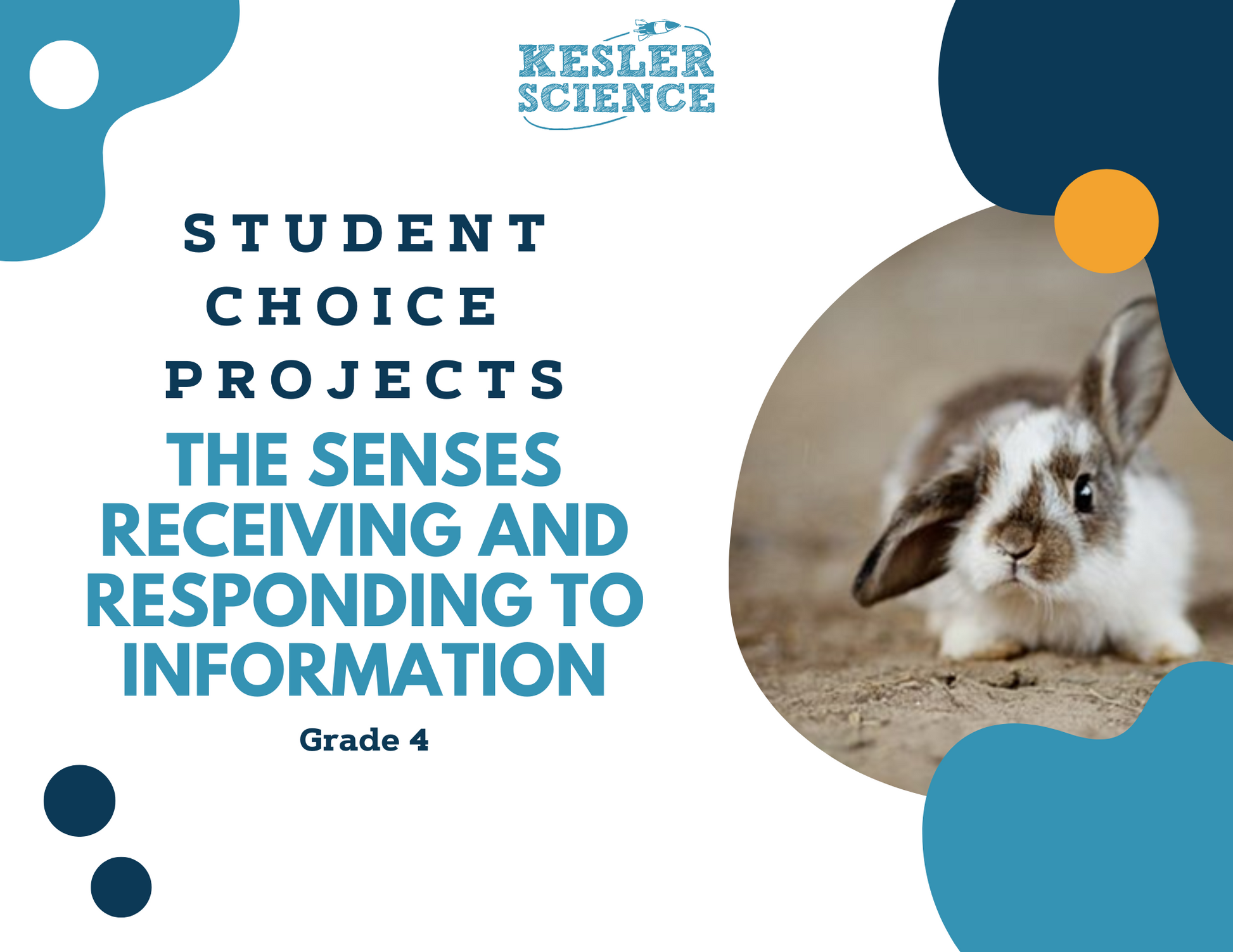 Senses - Sending & Receiving Information - Student Choice Projects - 4th Grade