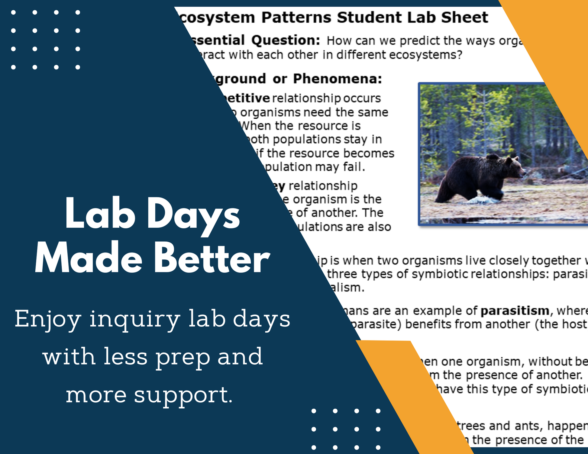 Ecosystem Patterns Inquiry Lab - NGSS MS LS2-2
