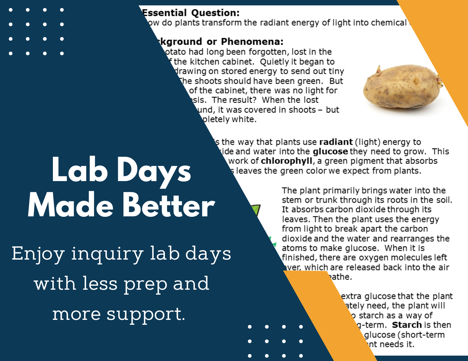 Photosynthesis Inquiry Lab - NGSS MS LS1-6, TEKS 6-8