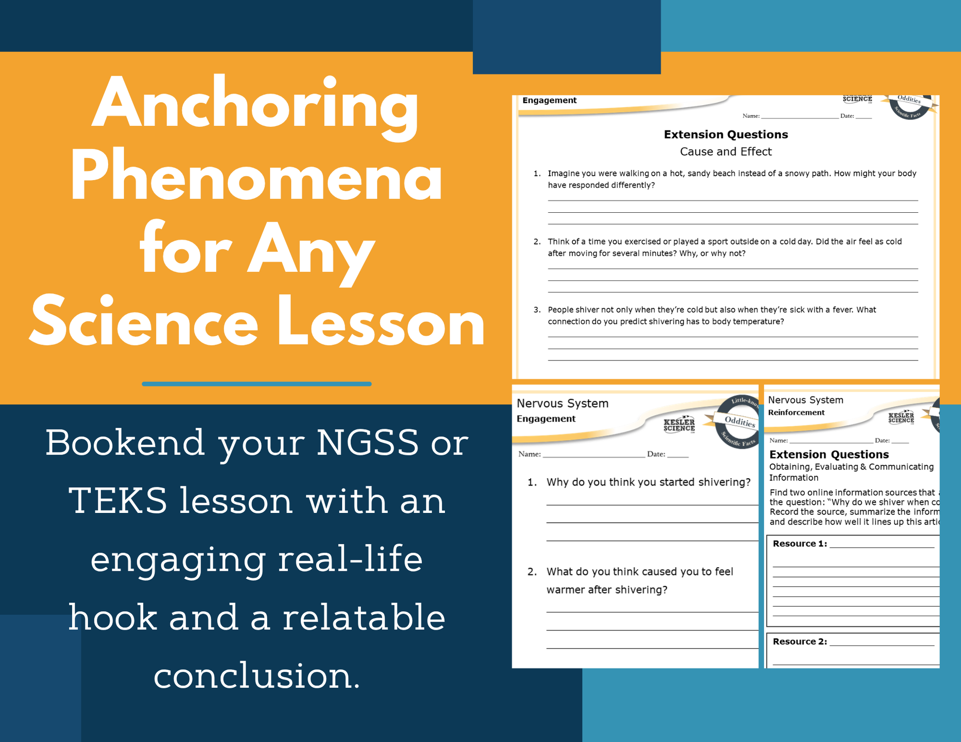 Amazing Anchors - Nervous System - NGSS MS LS1-8, MS 6-8