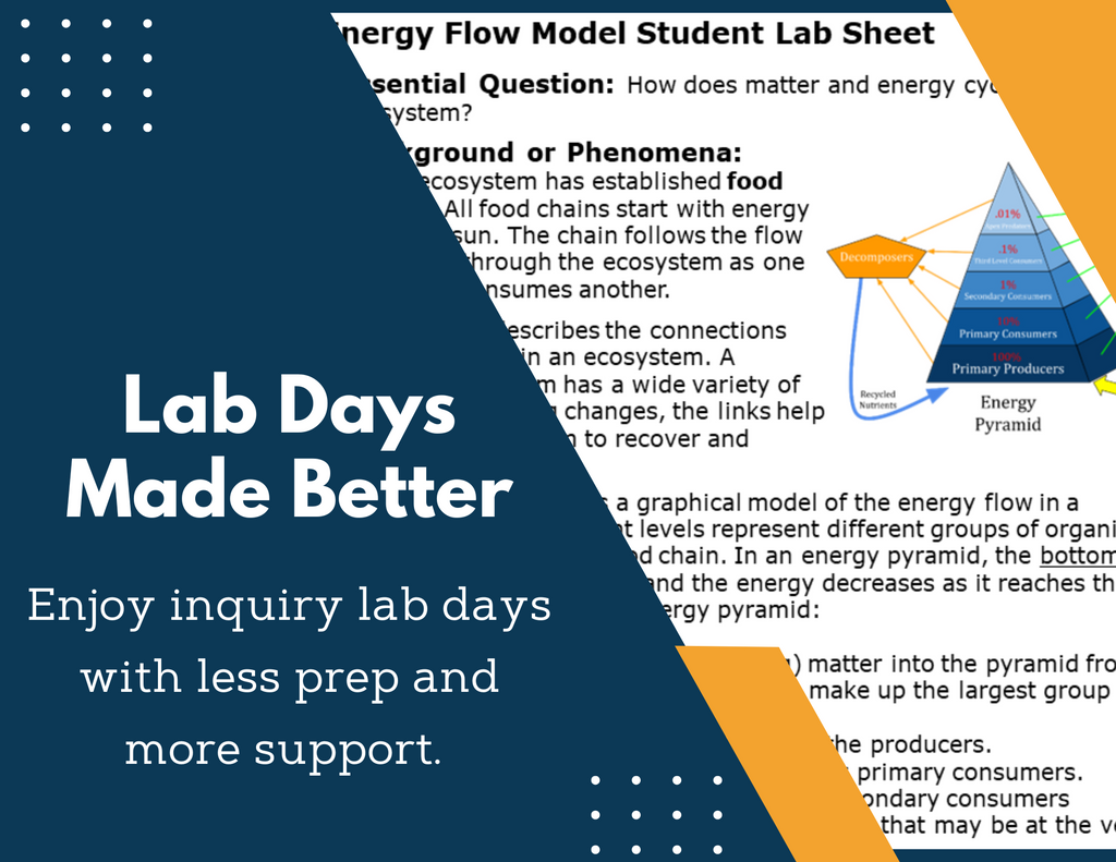 Energy Pyramids & Energy Flow Inquiry Lab - NGSS MS LS2-3