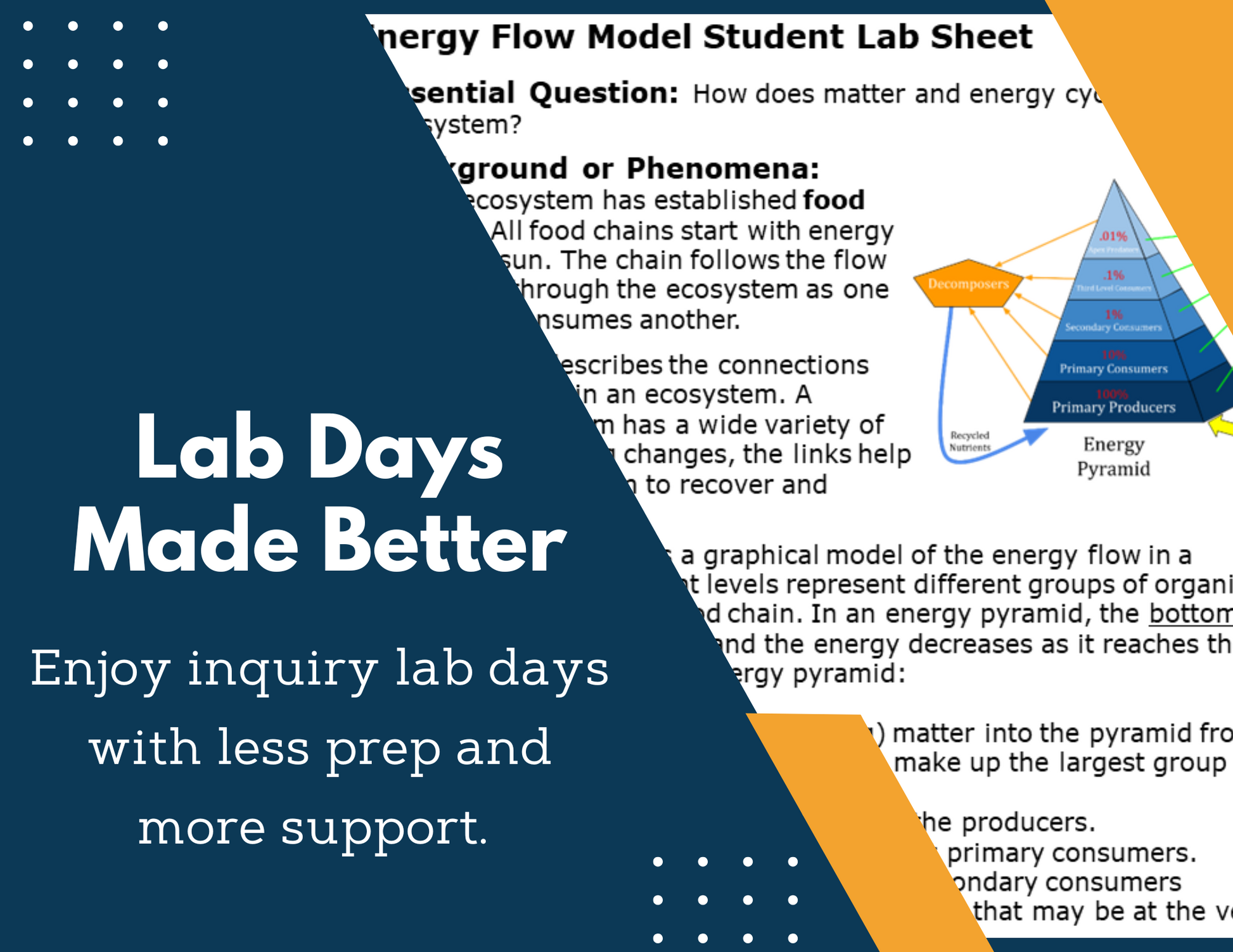Energy Pyramids & Energy Flow Inquiry Lab - NGSS MS LS2-3