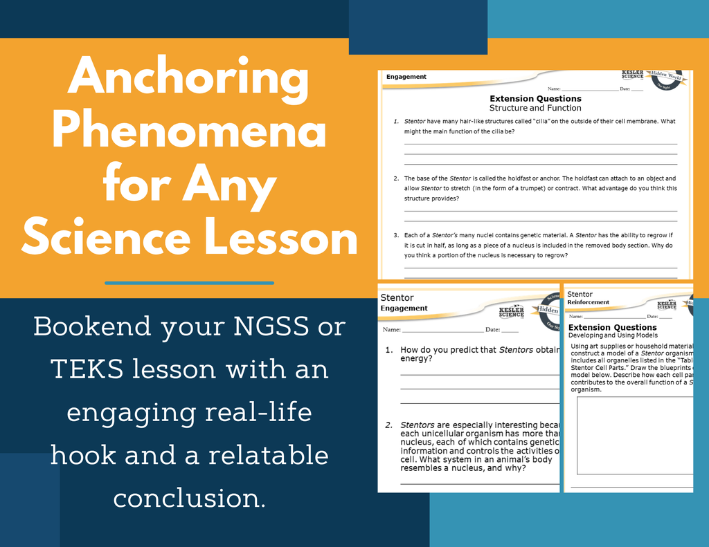 Amazing Anchors Cell Parts & Functions (Stentor) - NGSS MS LS1-2