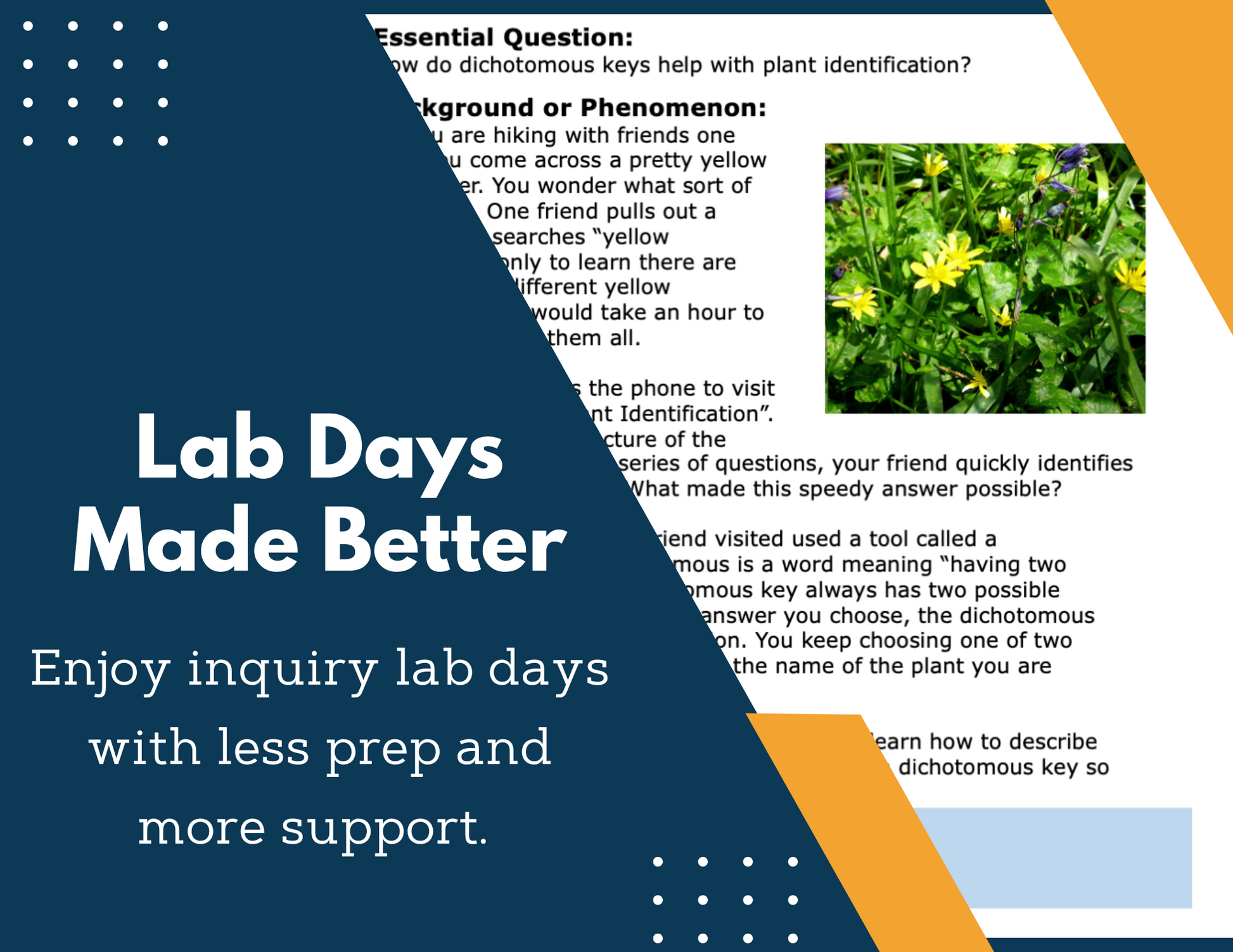 Dichotomous Key Worksheets Inquiry Lab - MS 6-8 Science TEKS