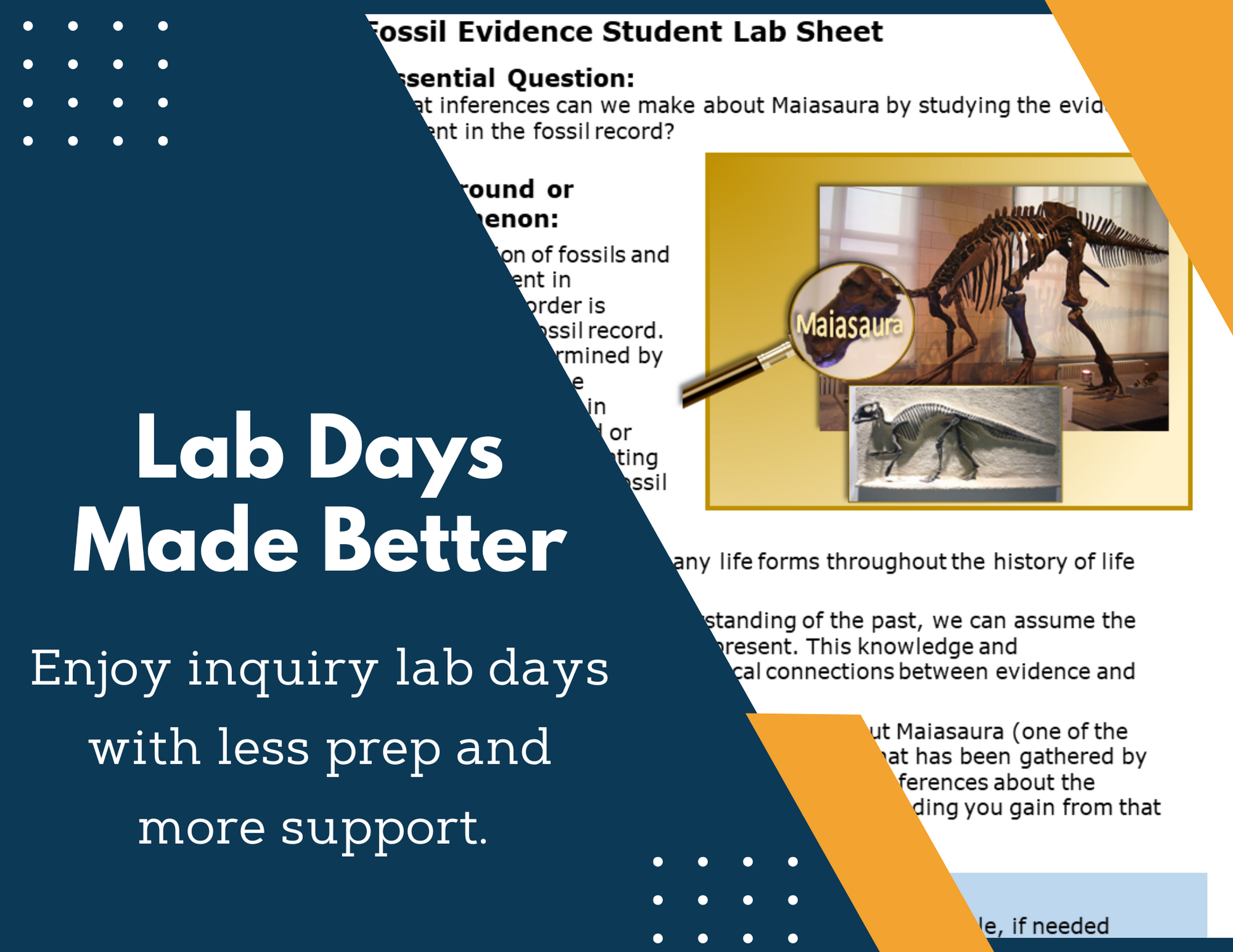 Fossil Evidence Inquiry Lab - NGSS MS LS4-1