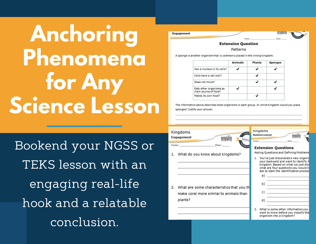 Amazing Anchors Characteristics of Organisms (Kingdoms) - MS 6-8