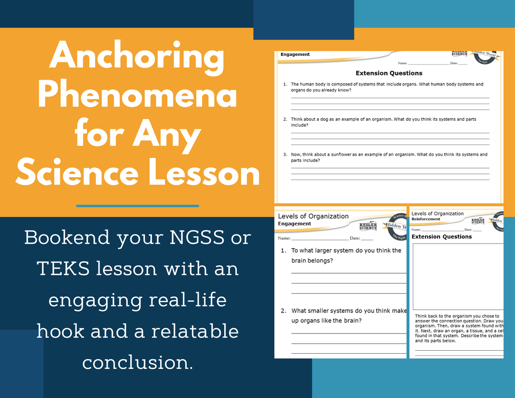 Amazing Anchors Organization of Organisms (Levels of Organization) - MS 6-8