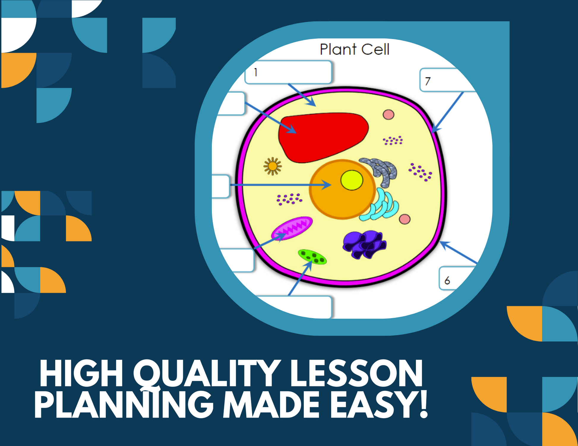 Plant & Animal Cells Interactive Notebook Pages - Paper INB - MS 6-8