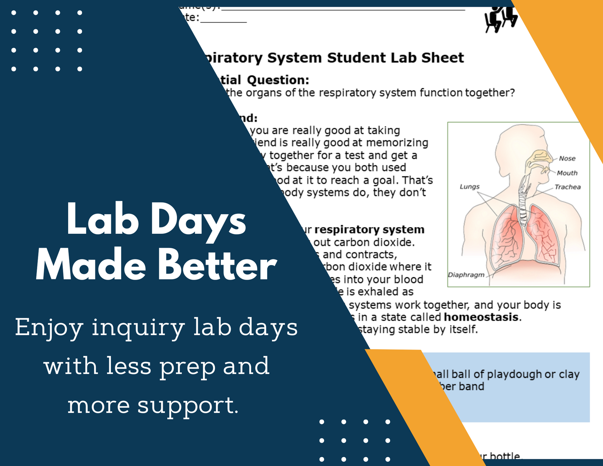 Respiratory System Inquiry Lab - MS 6-8 Science TEKS