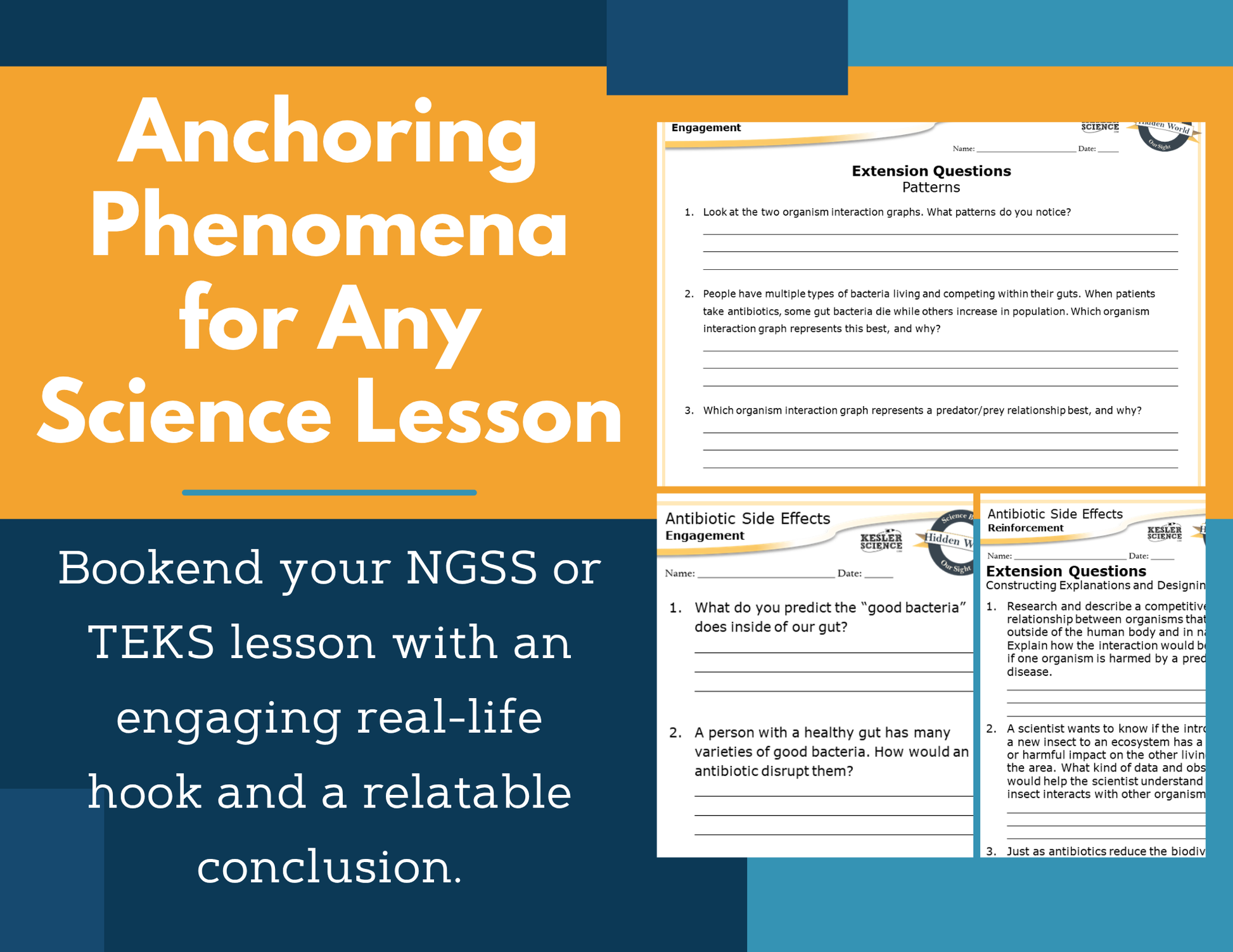 Amazing Anchors Organism Relationships (Antibiotic Side Effects) - NGSS MS LS2-2