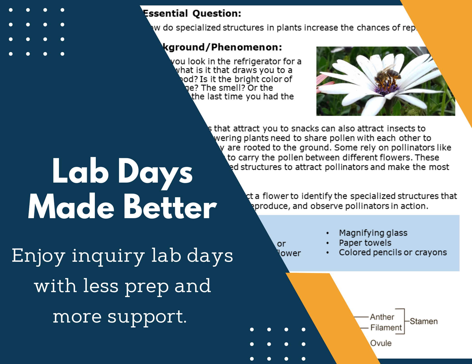 Pollination Inquiry Lab - NGSS MS LS1-4